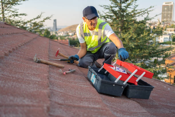 Best Stucco Siding  in Long Grove, IL